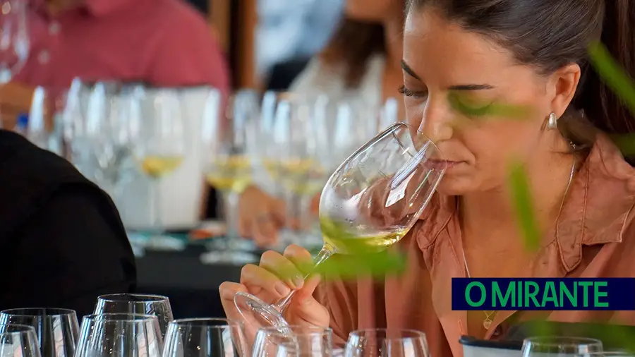 Programas premium e curso de vinho para totós marcam Alma do Vinho em Alenquer Programas premium e curso de vinho para totós marcam Alma do Vinho em Alenquer