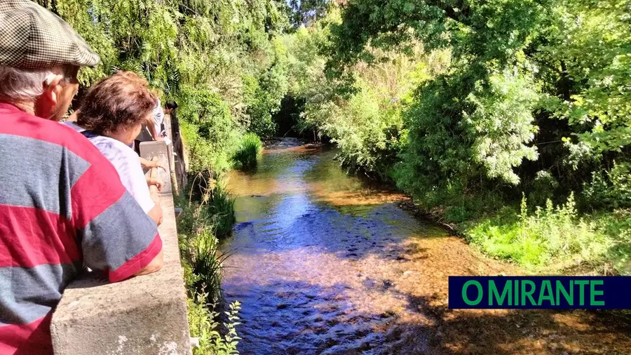 Visita guiada à Ribeira de Pernes