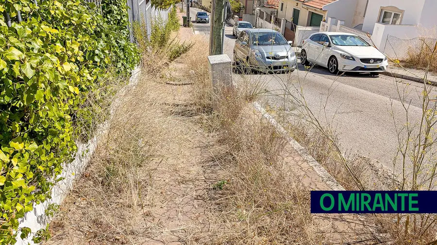 Caminhar na natureza em Alverca