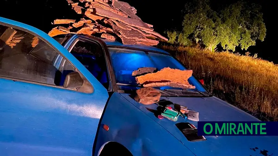 Apanhado pela GNR a furtar cortiça em Coruche Apanhado pela GNR a furtar cortiça em Coruche