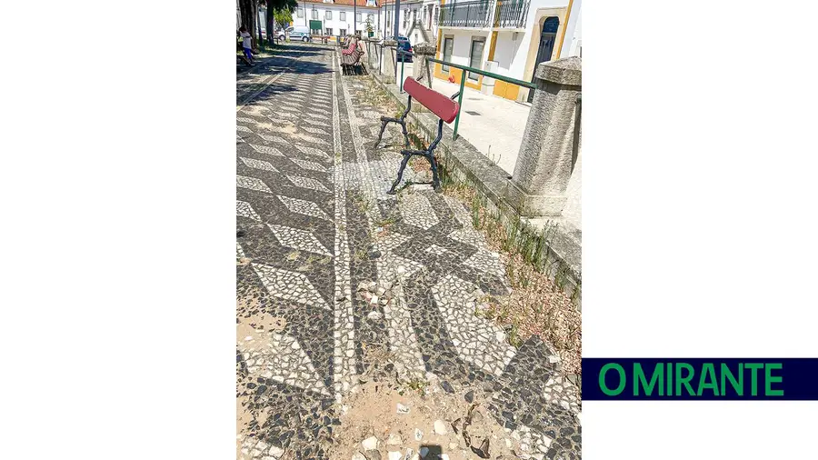 Críticas à limpeza urbana na Chamusca; junta aponta o dedo ao executivo da câmara Críticas à limpeza urbana na Chamusca; junta aponta o dedo ao executivo da câmara