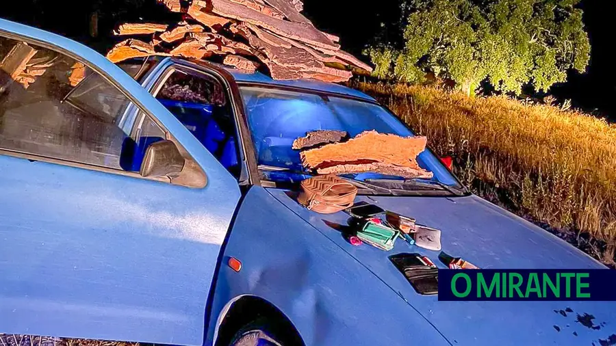 Apanhado em flagrante a furtar cortiça em Coruche Apanhado em flagrante a furtar cortiça em Coruche