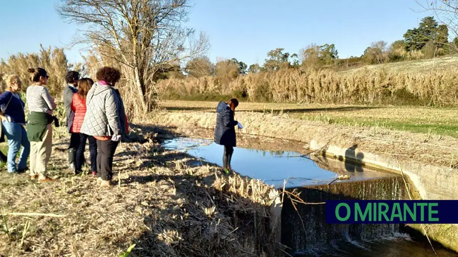 Açude obsoleto na ribeira de Perofilho removido para melhorar condições dos ecossistemas Açude obsoleto na ribeira de Perofilho removido para melhorar condições dos ecossistemas