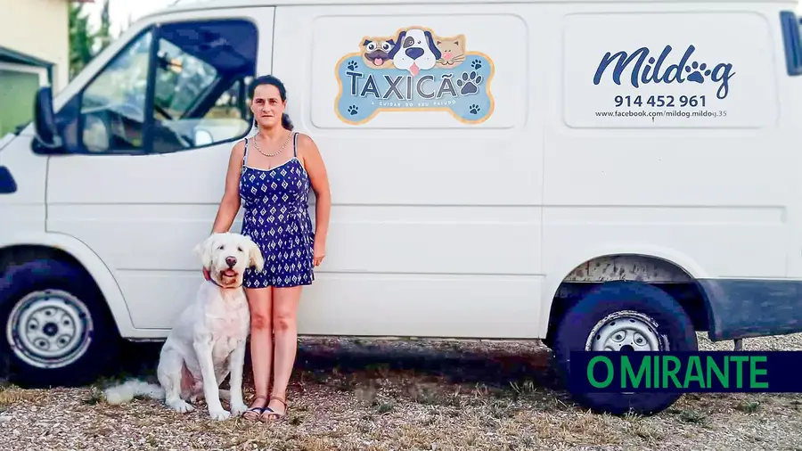 TaxiCão apresenta projecto e site nos Jardins de Infância TaxiCão apresenta projecto e site nos Jardins de Infância