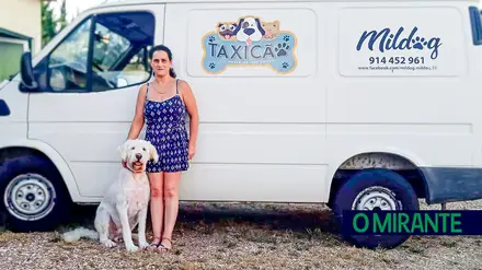 TaxiCão apresenta projecto e site nos Jardins de Infância