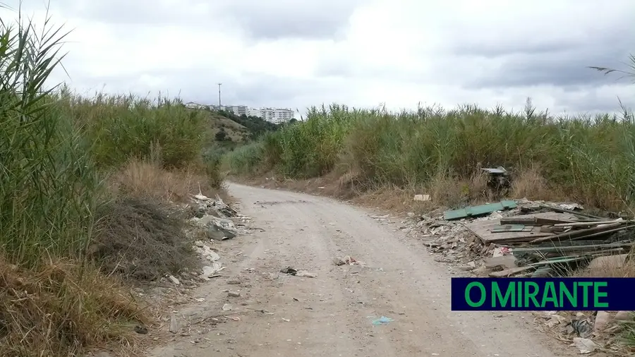 Estrada da carreira de tiro em Santarém vai finalmente ser alcatroada