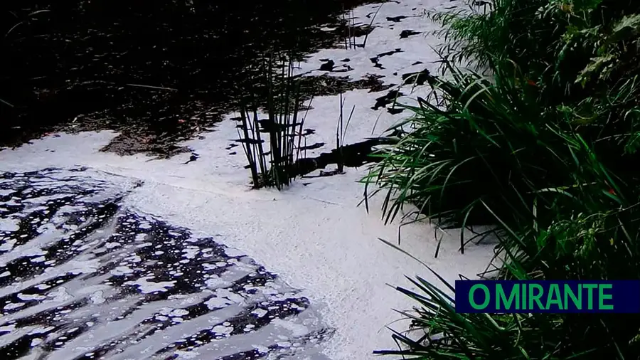Espuma branca alerta para nova descarga poluente no rio Almonda Espuma branca alerta para nova descarga poluente no rio Almonda