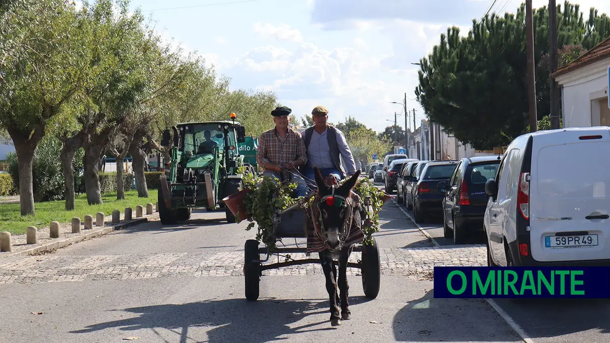 Vila Chã de Ourique mantém a tradição do cortejo das vindimas