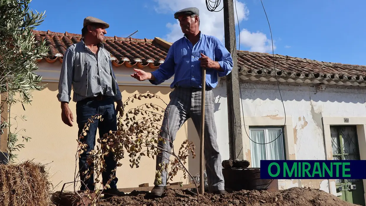 Vila Chã de Ourique mantém a tradição do cortejo das vindimas