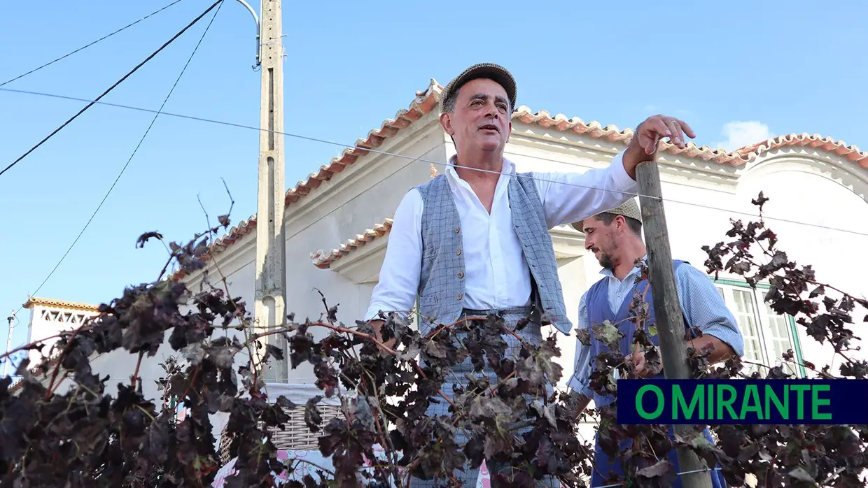 Vila Chã de Ourique mantém a tradição do cortejo das vindimas