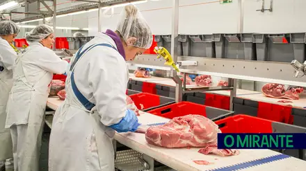 Trabalhadores da Nobre de Rio Maior vão para a 28.ª greve desde 2023