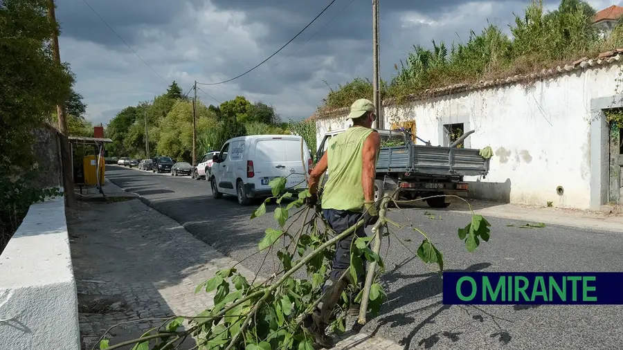 Cartaxo está a limpar linhas de água Cartaxo está a limpar linhas de água