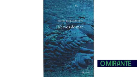 Nervos de mar