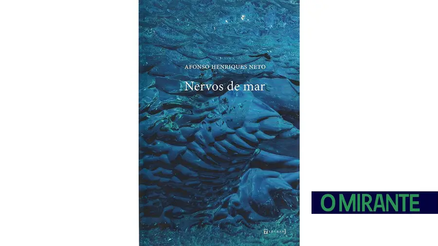 Nervos de mar Nervos de mar
