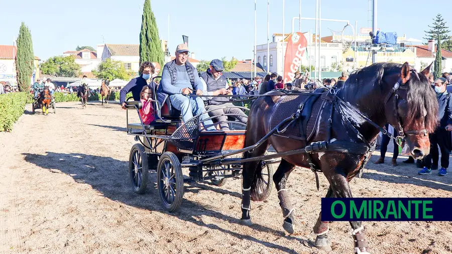 Feira Nacional do Cavalo com mais espaço na Golegã e maior segurança Feira Nacional do Cavalo com mais espaço na Golegã e maior segurança