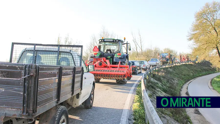 Filas de espera na Ponte da Chamusca voltaram a condicionar vida de condutores Filas de espera na Ponte da Chamusca voltaram a condicionar vida de condutores