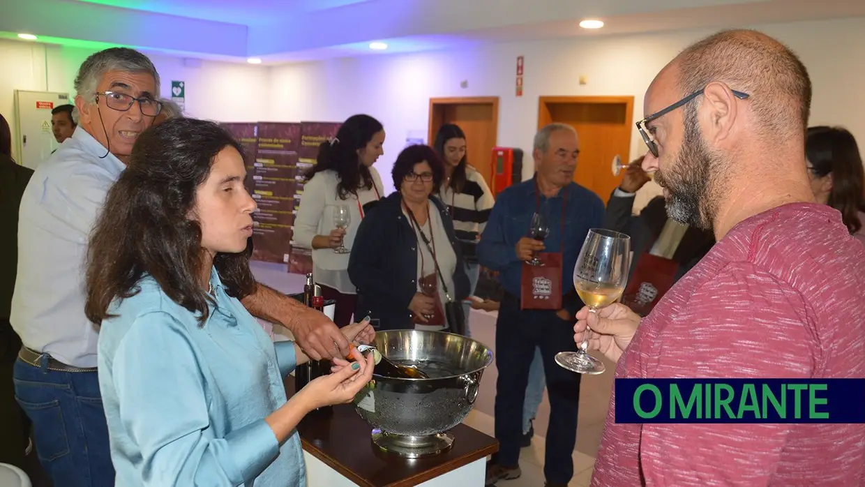 Vinho e artesanato em Arruda dos Vinhos até domingo