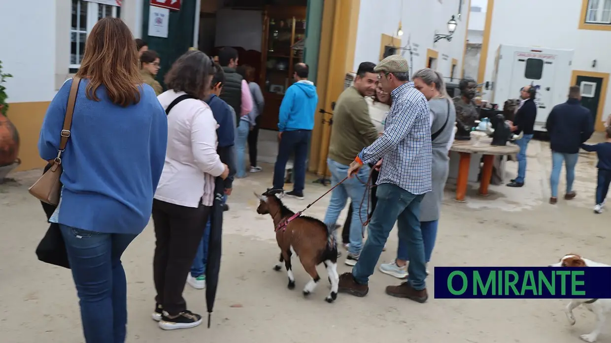 Primeiro dia da Feira do Cavalo com muito público e novo espaço