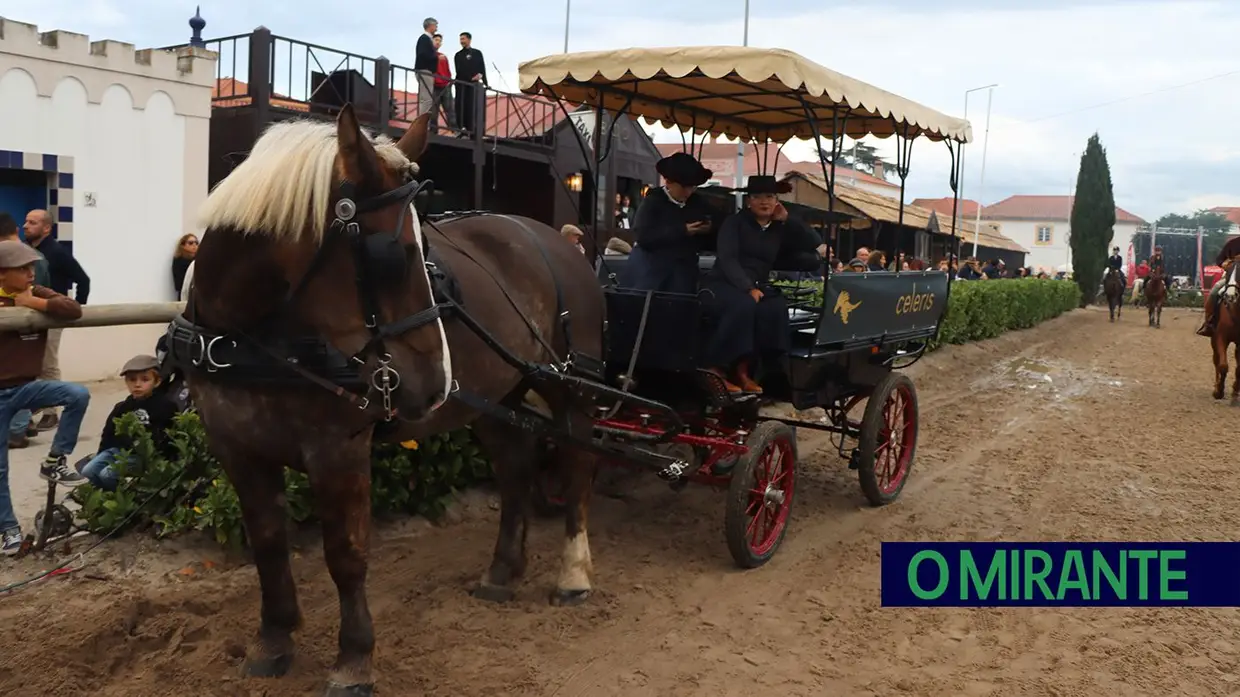 Primeiro dia da Feira do Cavalo com muito público e novo espaço