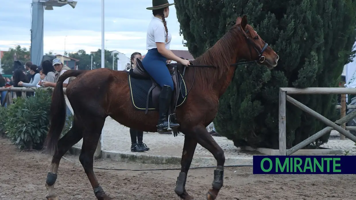 Primeiro dia da Feira do Cavalo com muito público e novo espaço