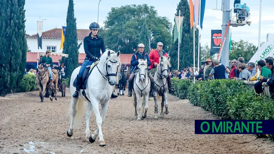 Feira Nacional do Cavalo na Golegã está mais amiga das pessoas e dos animais