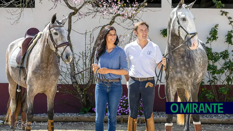 Espaço Equestre Quinta do Palhão com foco no cavalo Lusitano e na equitação clássica