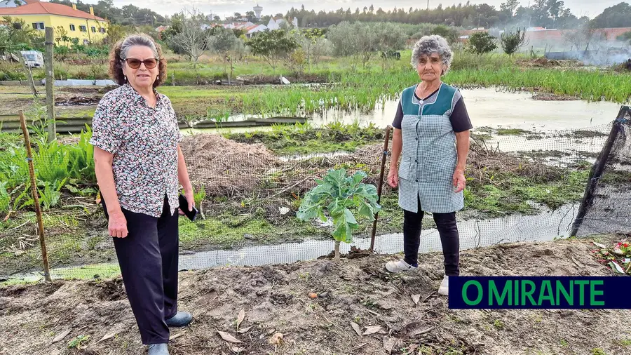 Vala poluída em Coruche afecta moradores e terrenos de cultivo Vala poluída em Coruche afecta moradores e terrenos de cultivo