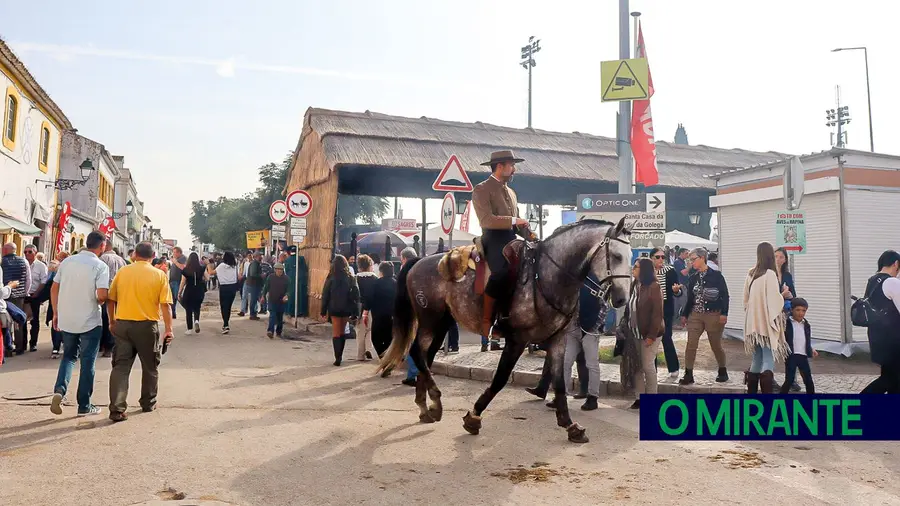 Seis detenções, 146 autos e 31 veículos danificados na Feira do Cavalo na Golegã Seis detenções, 146 autos e 31 veículos danificados na Feira do Cavalo na Golegã
