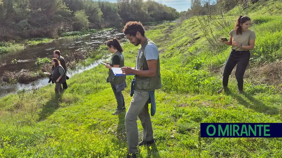 Projecto de ciência cidadã monitoriza rio Almonda na Azinhaga