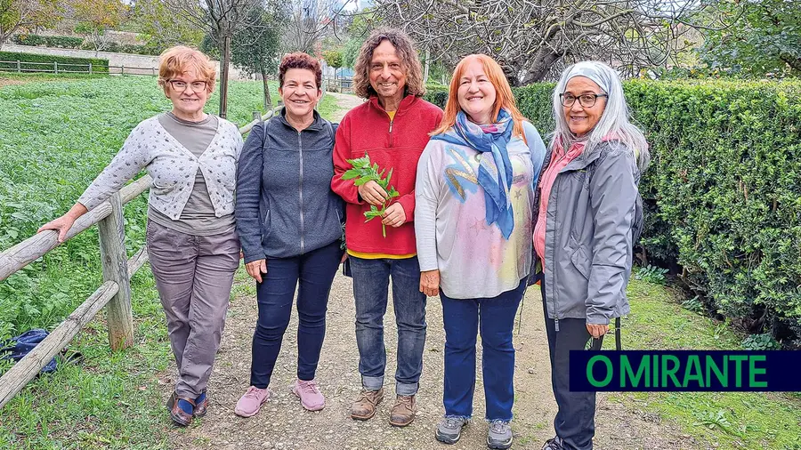 Aprender sobre a importância das plantas na alimentação durante um passeio na Póvoa