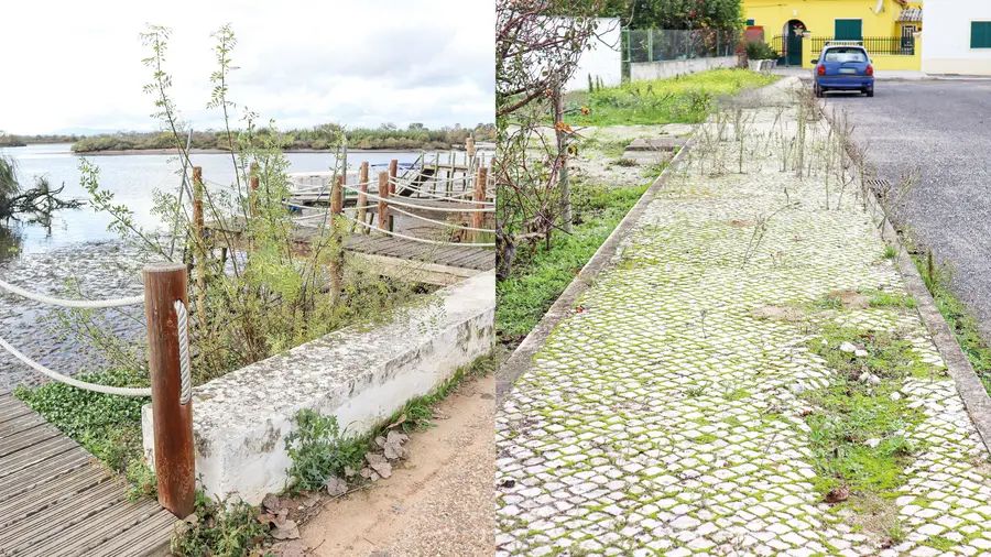 Moradores da aldeia avieira do Escaroupim sentem-se ignorados e exigem melhores condições