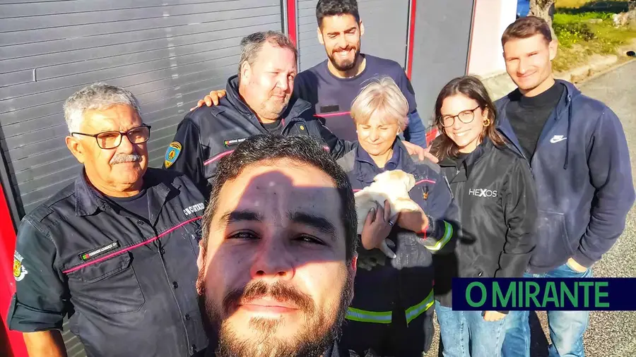 Bombeiros do Cartaxo salvam cachorro em Vila Chã de Ourique