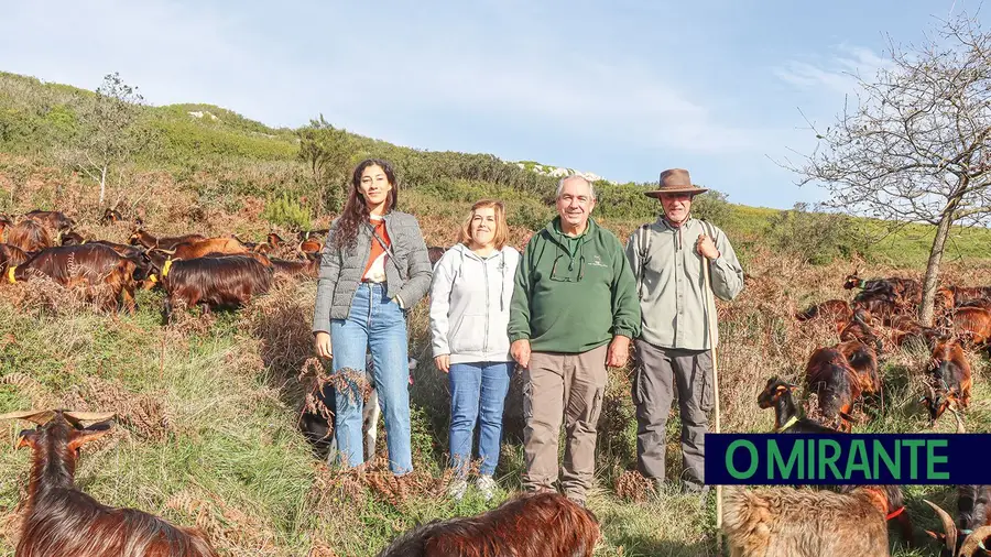 Cooperativa Terra Chã: um refúgio de natureza e sustentabilidade na Serra dos Candeeiros