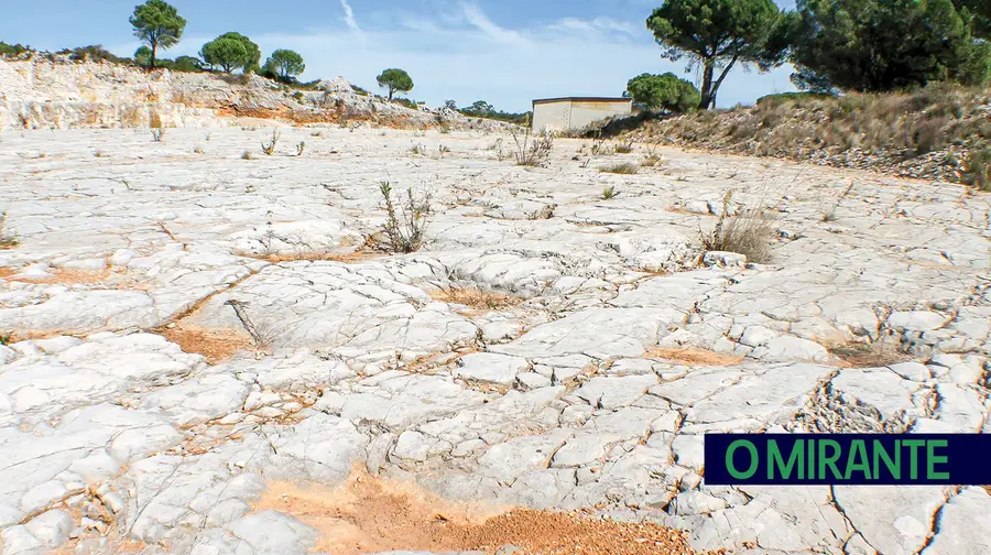 Reconhecimento internacional de pegadas de dinossáurios de Ourém e Santarém impulsiona turismo Reconhecimento internacional de pegadas de dinossáurios de Ourém e Santarém impulsiona turismo