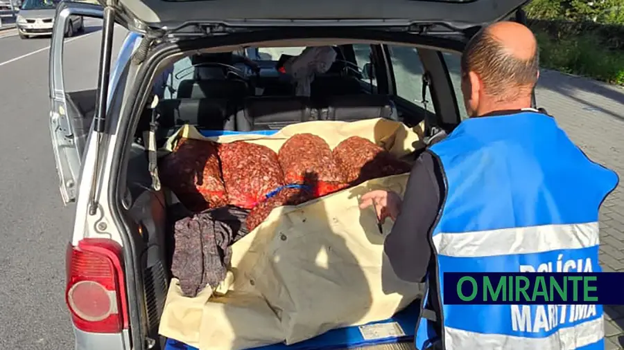 Polícia Marítima volta a caçar pescadores ilegais de amêijoa na Póvoa de Santa Iria Polícia Marítima volta a caçar pescadores ilegais de amêijoa na Póvoa de Santa Iria