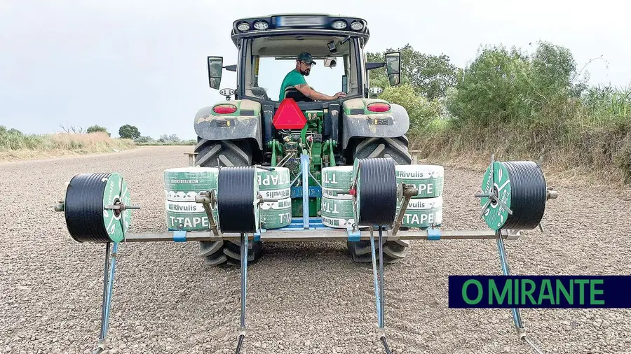 Ensaio de rega gota-a-gota na cultura do arroz viabiliza produção em terrenos convencionais