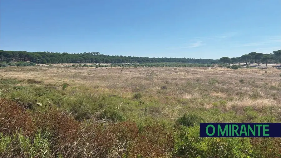 A luta pela água na Herdade da Comporta e o brutal aumento do preço da construção