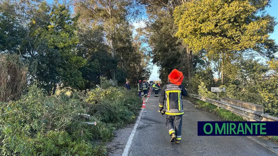 Queda de árvores interrompe EN 118 na Azeitada