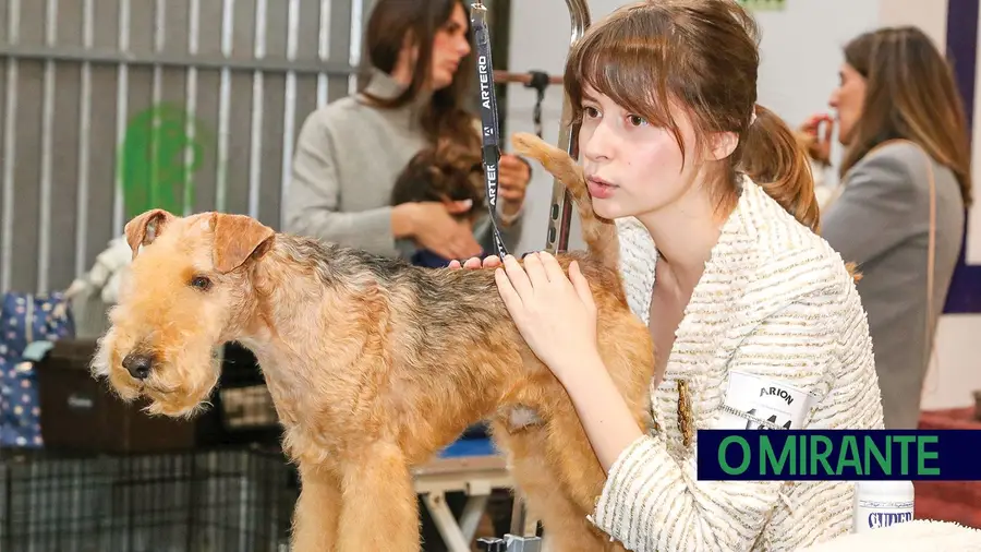 A segunda edição da Exposição Canina Internacional de Arruda dos Vinhos