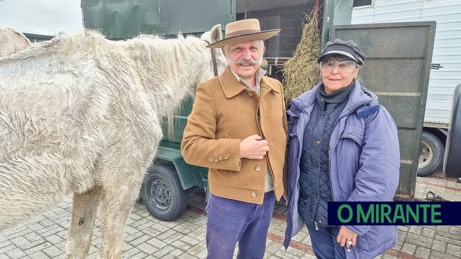 Porto Alto a trote reafirma-se como ponto de encontro equestre