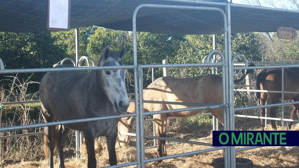 Primeira edição da Agro Marinhais promoveu agricultura na região