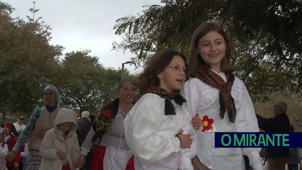 Desfile de Carnaval em Santarém com muita animação e a companhia da chuva