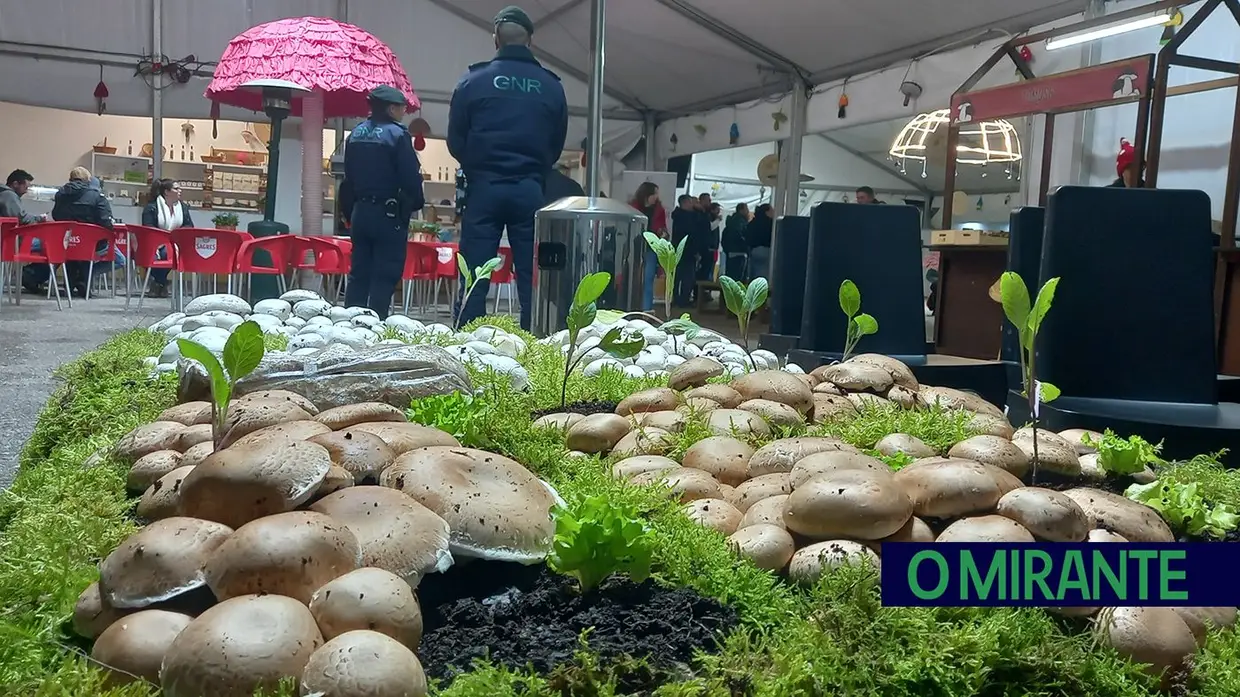 8ª Edição do Festival do Cogumelo na Parreira decorre até domingo