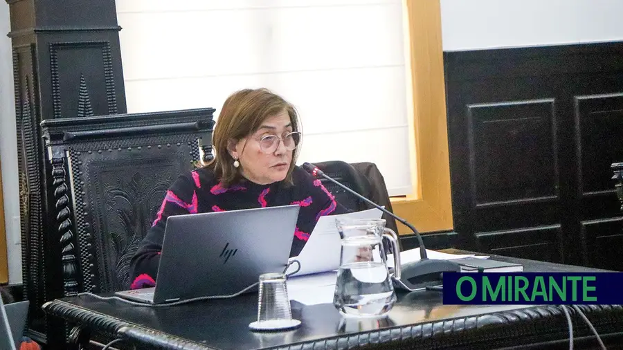 Preocupação com falta de meios na Comissão de Protecção de Crianças do Entroncamento