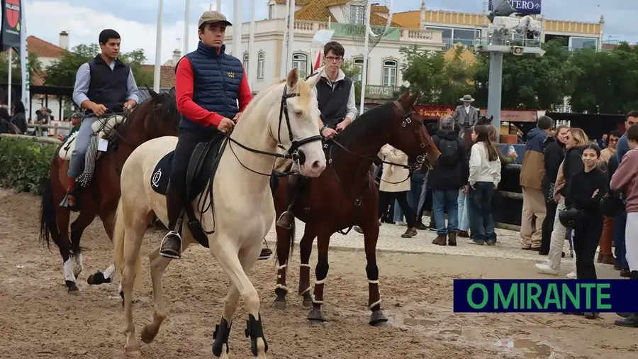 Feira Nacional do Cavalo distinguida com o prémio Cinco Estrelas Feira Nacional do Cavalo distinguida com o prémio Cinco Estrelas