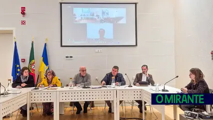 Fazer política à distância Fazer política à distância