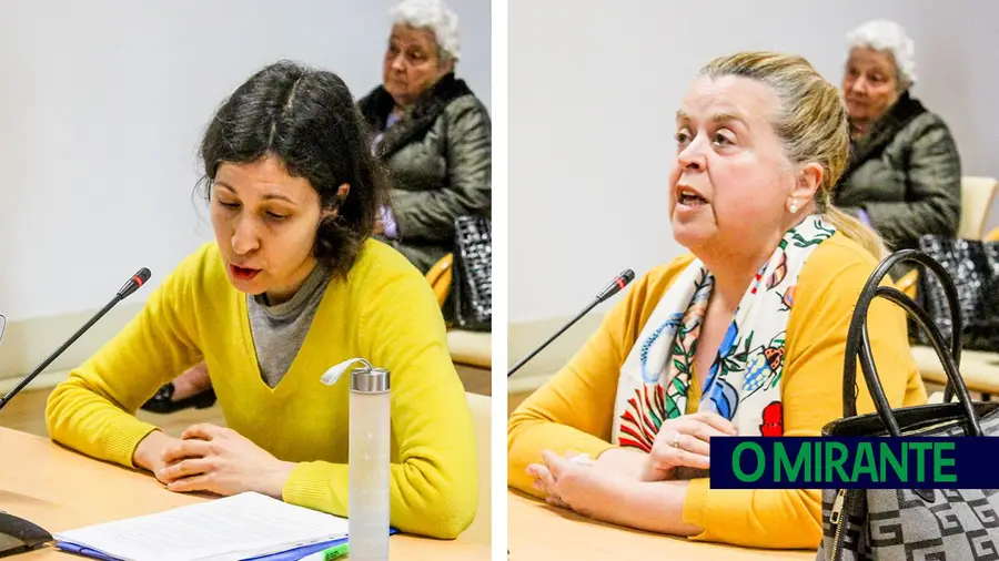 Munícipes vão a reunião de câmara protestar contra abate de árvores em Tomar Munícipes vão a reunião de câmara protestar contra abate de árvores em Tomar