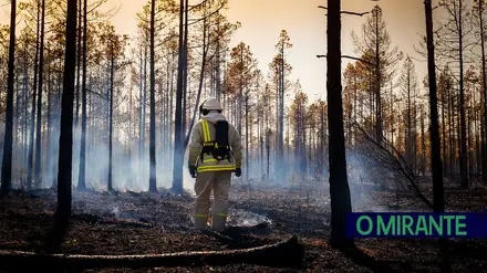 Incêndios: Bombeiros vão receber mais para o combate, mas Liga contesta valor Incêndios: Bombeiros vão receber mais para o combate, mas Liga contesta valor
