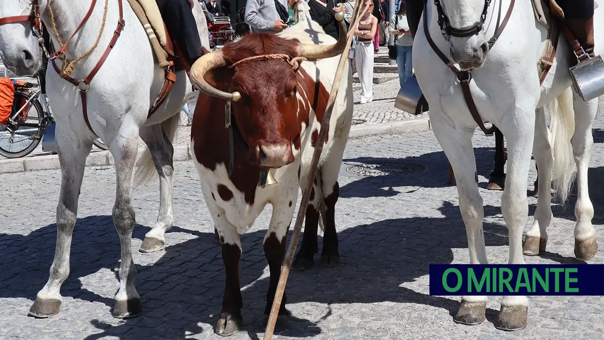 Desfile etnográfico celebrou tradições do concelho do Cartaxo