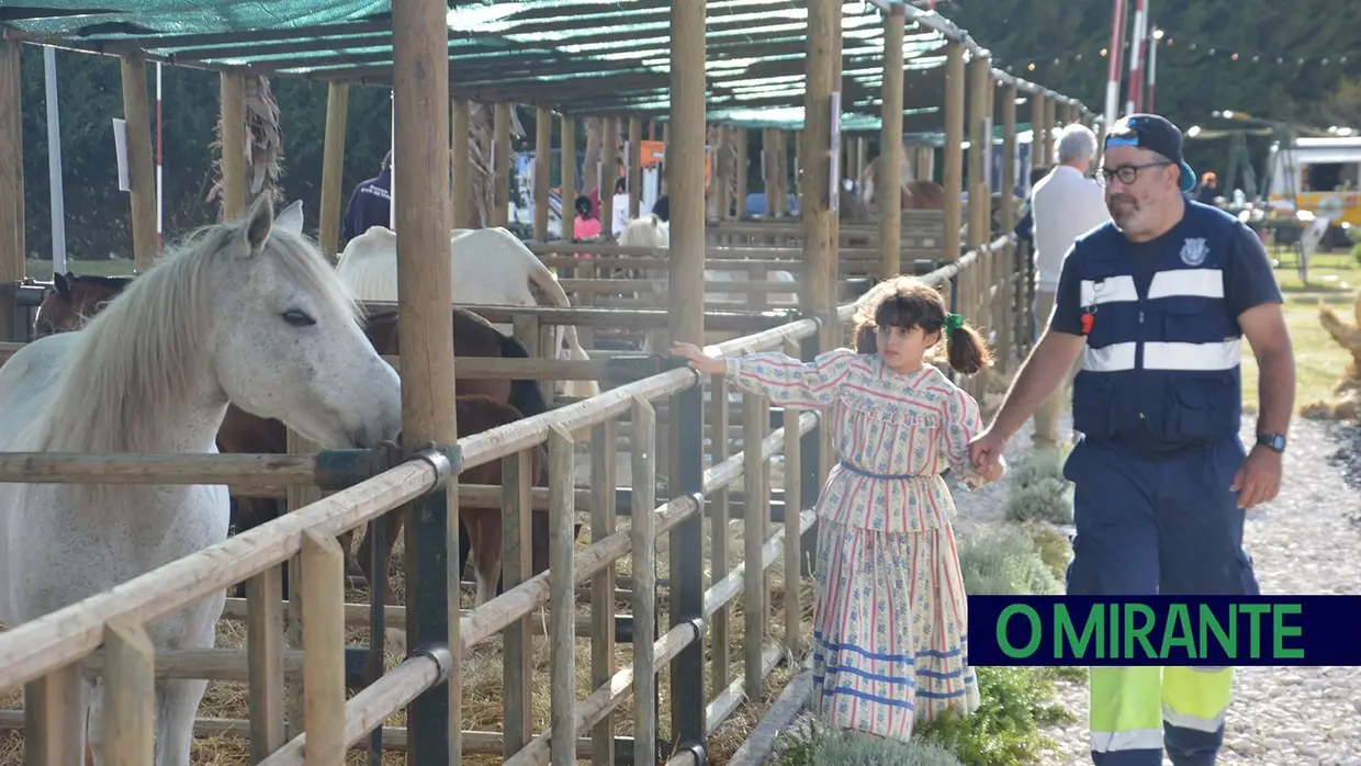 Feira Rural mostra as tradições de Arruda dos Vinhos